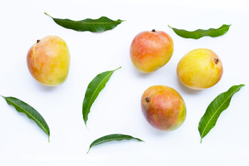 Tropical fruit, Mango  on white background.