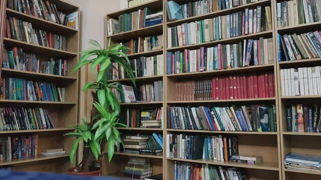 4k video, a lot of wooden shelves filled with different books, the concept of the international day of books and scientific education, the interior of the library