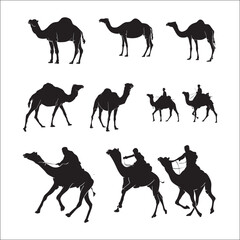 collection of hand drawn camel silhouettes - obrazy, fototapety, plakaty