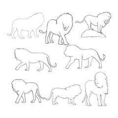 collection of outline images of the lion the king of the jungle