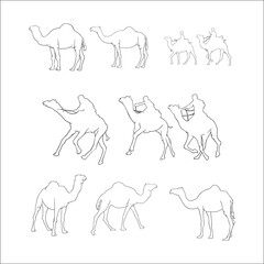 camel outline hand drawn collection