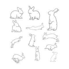 rabbit outline hand drawn collection
