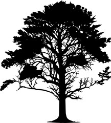 Tree black silhouette. Realistic tree silhouette isolated element. Black shadow shape isolated on white transparent background. Plotter laser cutting file. Vector Illustration.