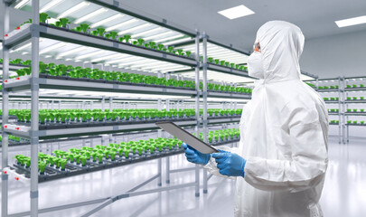 Worker wears medical protective suit or white coverall suit in smart indoor farm system raised...