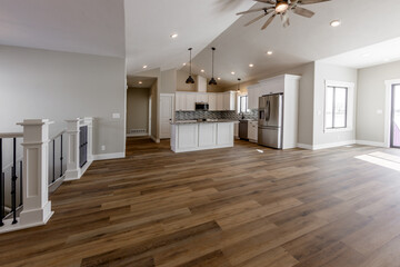 modern living space and kitchen interior