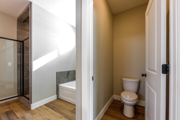 Fototapeta na wymiar modern master bathroom interior