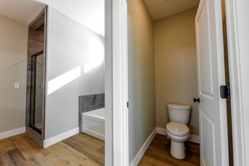Fototapeta na wymiar modern master bathroom interior