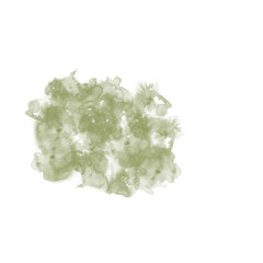 background watercolor green