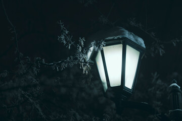 A single lantern covered with snow illuminating light to the surrounding frosted branches at night...