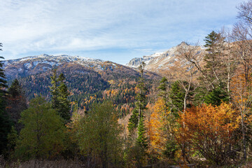 Fototapeta premium mountainous terrain, autumn walks in the bosom of nature,.strolling and contemplating the riot of colors in nature.