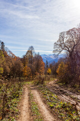 Naklejka premium mountainous terrain, autumn walks in the bosom of nature,.strolling and contemplating the riot of colors in nature.