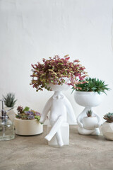 Potted House plant in white ceramic human like pot