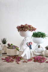 Potted House plant in white ceramic human like pot