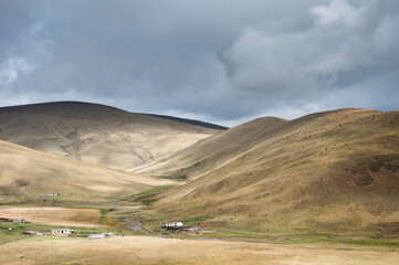 Meadow at high attitude