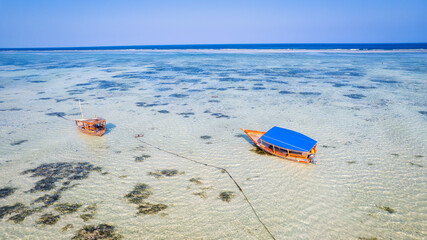 Zanzibar, Africa offers an idyllic summer travel experience with its stunning tropical sea coast, sandy beach, and fishing boats visible from an aerial view during sunset. Take in the beauty of boats 