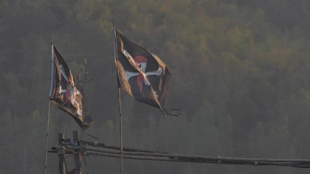 Pirate flag on the bridge