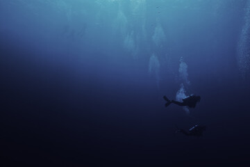 Obraz na płótnie Canvas group of divers depth bubbles dive