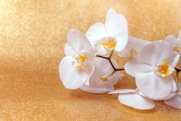 Obraz na płótnie Canvas A branch of white orchids on a shiny gold background 