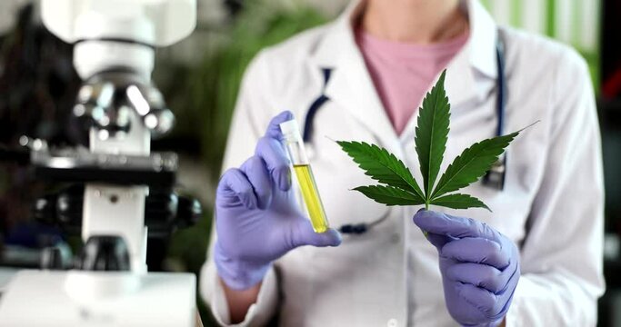 Cannabis scientist holds marijuana leaves and CBD oil in glass tube in cannabis research lab