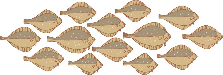 Set of flounder fish. Vector illustration. Flounder fish from the wild. School of fish.