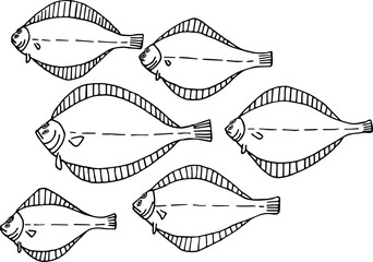 Hand drawing a lot of flounder fish. Vector illustration. A simple drawing of a fish. Fish day.