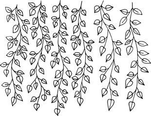 Ivy hand drawn outline. Ivy grows on the wall. Vector illustration.