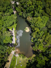 Beautiful aerial view to green atlantic rainforest and lake
