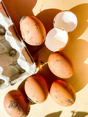 farm eggs tray and shell on yellow background