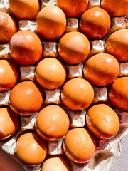 tray of farm brown eggs close-up