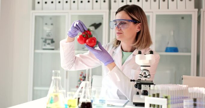 Chemist scientist holding red tomatoes in laboratory