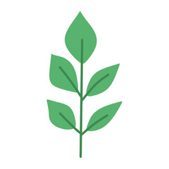 Obraz premium Flat Green Leaf
