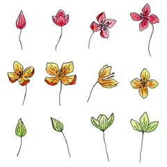 Hand drawn watercolor set of flowers