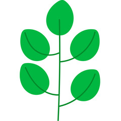 Green Leaf Illustration