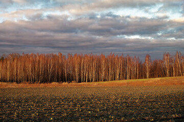 Krajobraz wczesnej wiosny, po stopnieniu śniegu. © Adam Sadlak