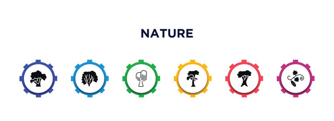 nature filled icons with infographic template. glyph icons such as honey-locust tree, american hornbeam tree, black willow tree, slippery elm white oak cucumber vector.