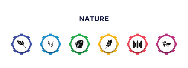 nature filled icons with infographic template. glyph icons such as lanceolate, subulate, birch leaf, oak leaf, fences, willow leaf vector.