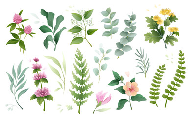 Watercolor flowers, botanic plant leaf. Green floral branch, nature meadow foliage, wild buds, spring eucalyptus and clover. Herbal rustic wedding decor. Vector illustration elements set