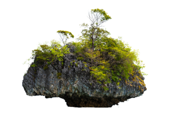 Mountain trees on beautiful sea islands and isolated stones on PNG background