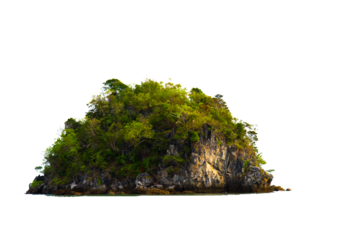 Mountain trees on beautiful sea islands and isolated stones on PNG background
