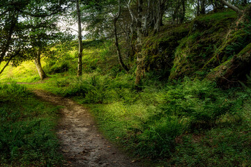Fototapeta na wymiar A beautiful walk in the Highlands, Scotland