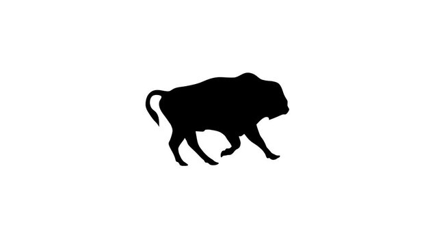 Silhouette of the galloping bison, animation on the white background (seamless loop)