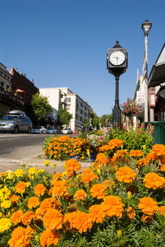 Spring flowers and Grass Vally Clock