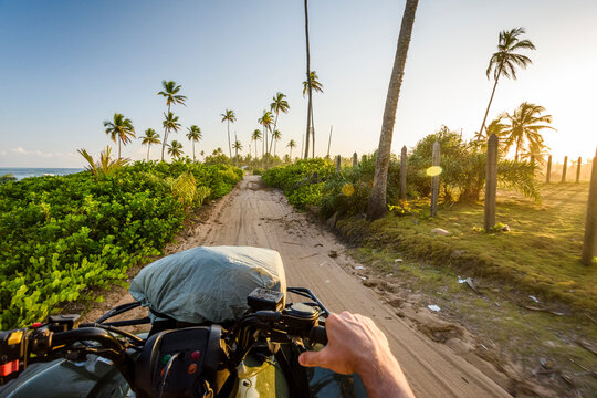 View from quad motorcycle in tropical scenery with palm trees, Taipu de Fora beach, South Bahia, Barra Grande, Brazil
