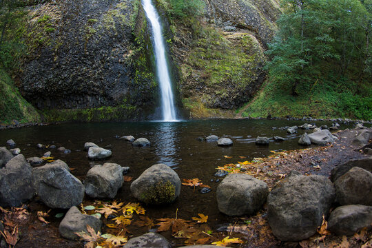 Horsetail Falls and mossy canyon wall with fall leaves on shoreline, Columbia Gorge, Oregon.