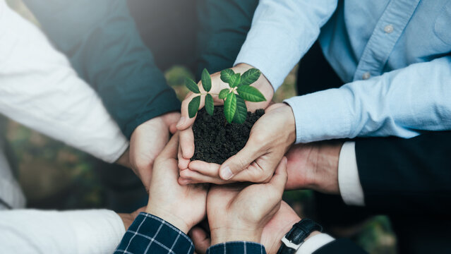 Teamwork and cooperation to conserve the green business forest of growing with plants in the hands of an eco-friendly group or team. Collaboration in green business