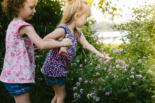 Girls in pink floral shirts picking flowers from nature grass