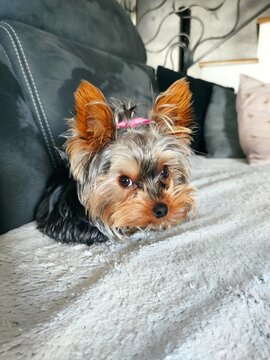 Louna fait la belle
