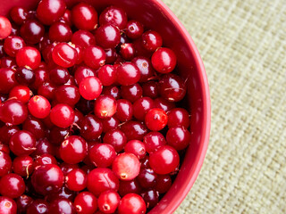 Ripe red cranberries close up. Autumn cranberry.