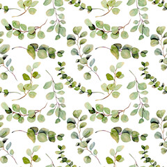 Seamless pattern of watercolor eucalyptus branches, illustration on a white background - 575260109