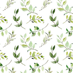Seamless pattern of watercolor greenery branches, illustration on a white background - 575260120